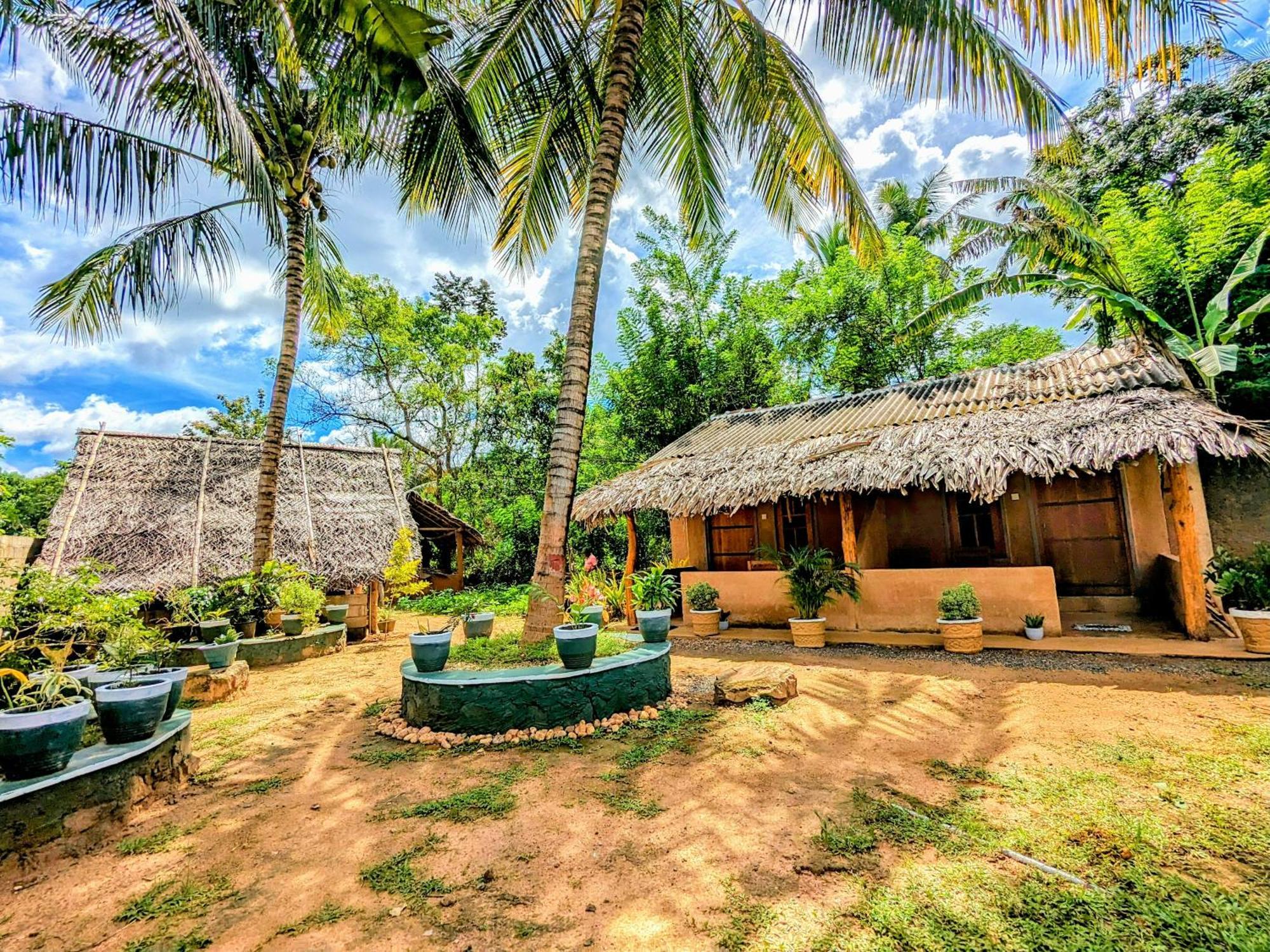 Maika Safari Lodge Udawalawe Eksteriør billede