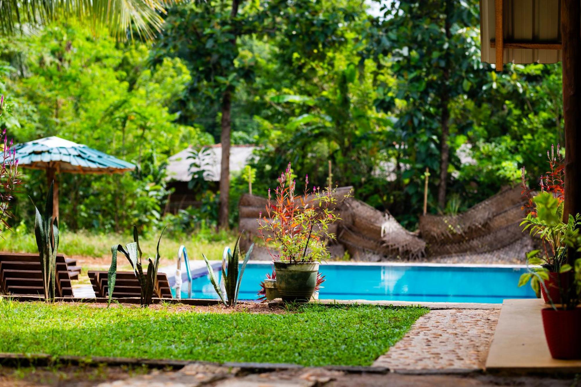 Maika Safari Lodge Udawalawe Eksteriør billede